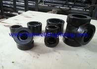 Stainless Steel Pipe Fittings 90 Degree F/F Thread Elbow DN6 - DN100 for Building
