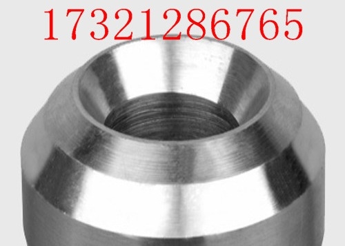 Weldolet ANSI B16.11 Duplex 2507 Forged Pipe Fittings