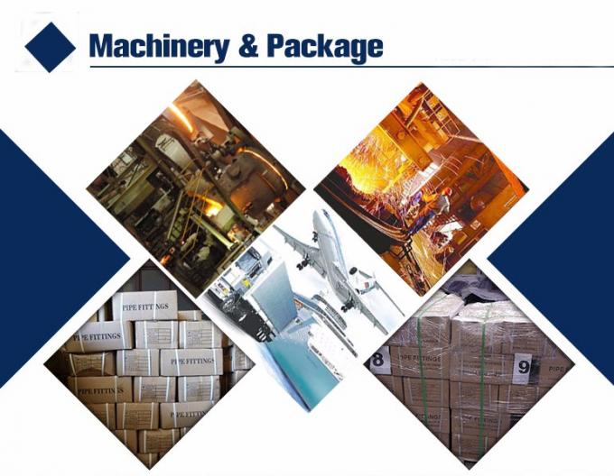 ASTM ASME A515-60 API 590 150 LBS 3/4 "Oczy z stali nierdzewnej 3