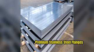 Premium Stainless Steel Flanges 304 316L Forged Plate