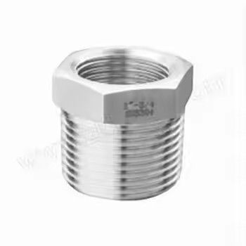 Custom Forged Socket Weld Pipe Fittings Stainless Steel Bushings Industrial Connector