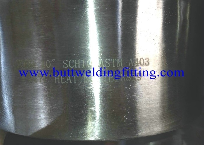 ASTM A403 WP317L / 310H /321H Stainless Steel Stub End Lap Joint  10 inch SCH40S
