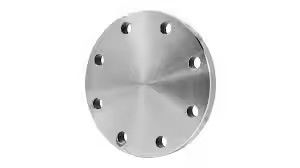 METAL SS316 300LB 600LB Blind Flange for Oil Gas Pipeline Engineering